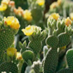 Meet your Posher, Corey